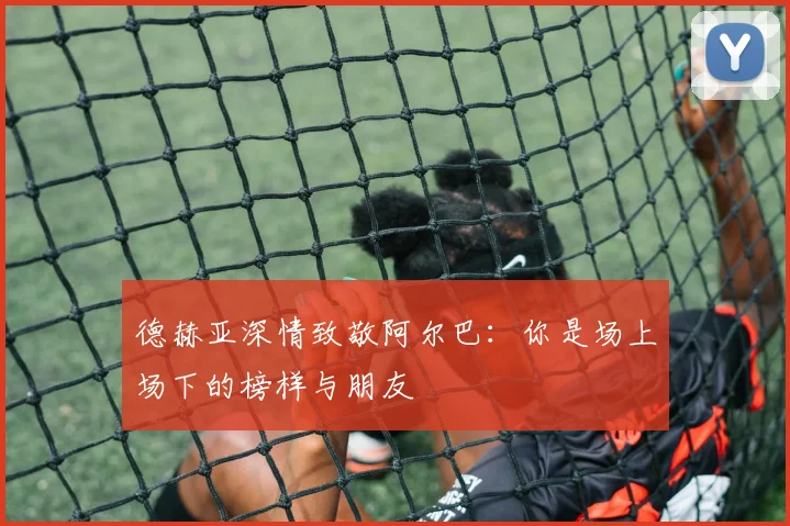 德赫亚深情致敬阿尔巴：你是场上场下的榜样与朋友