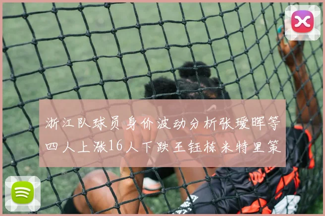 浙江队球员身价波动分析张瑷晖等四人上涨16人下跌王钰栋米特里策保持不变