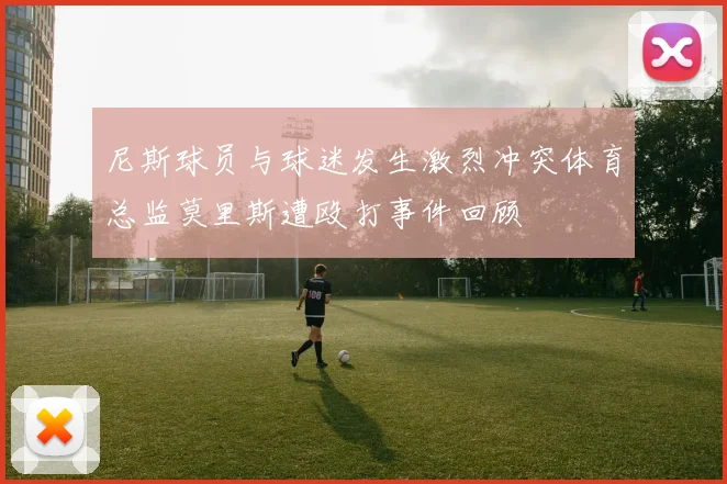 尼斯球员与球迷发生激烈冲突体育总监莫里斯遭殴打事件回顾