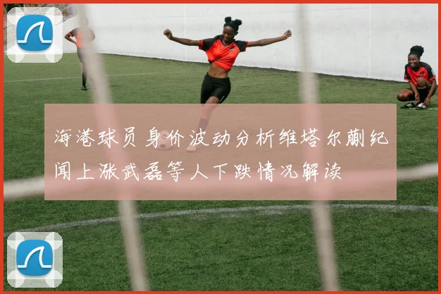 海港球员身价波动分析维塔尔蒯纪闻上涨武磊等人下跌情况解读